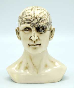 6" Phrenology Head